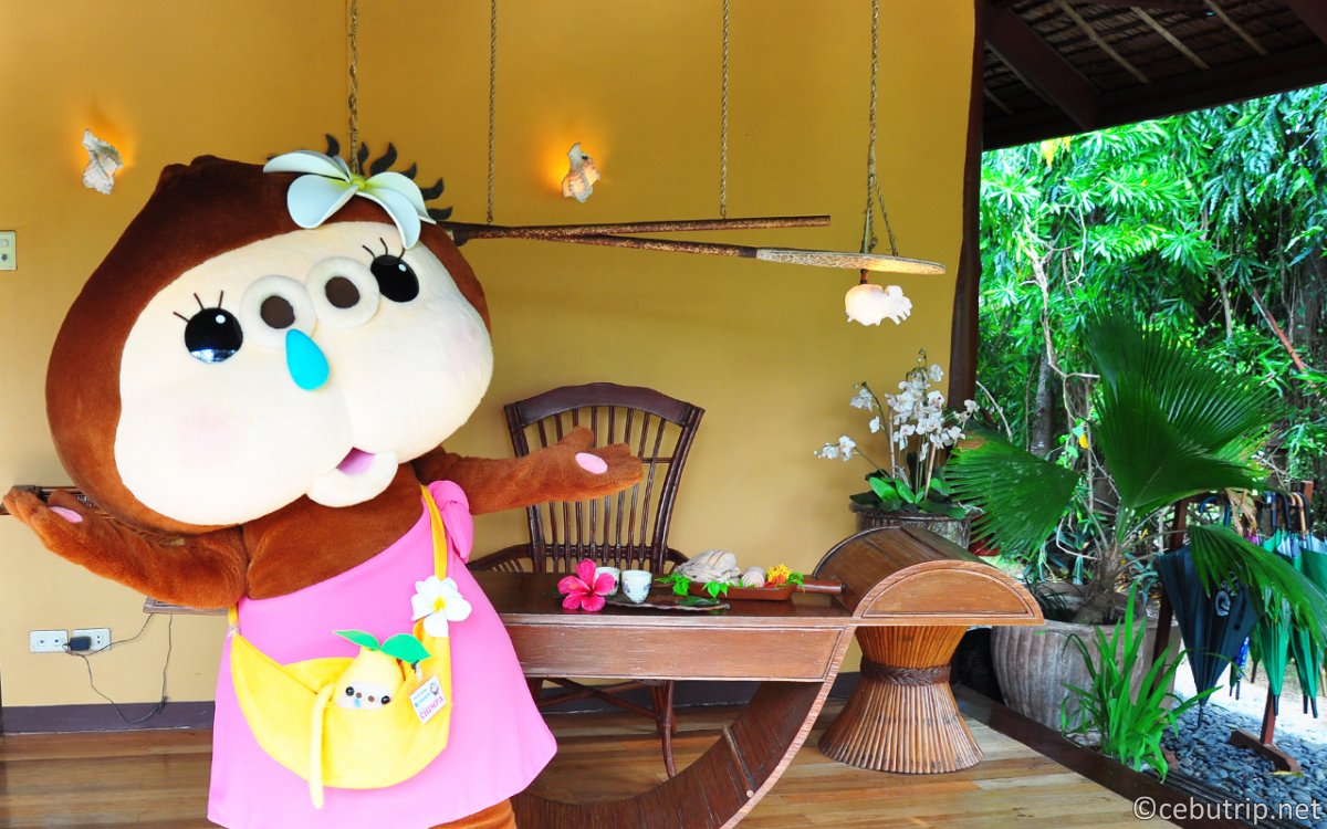 【セブ島ウェルネスリトリート】自然派の楽園「バディアン島」でオーガニック食材を堪能し心身を浄化