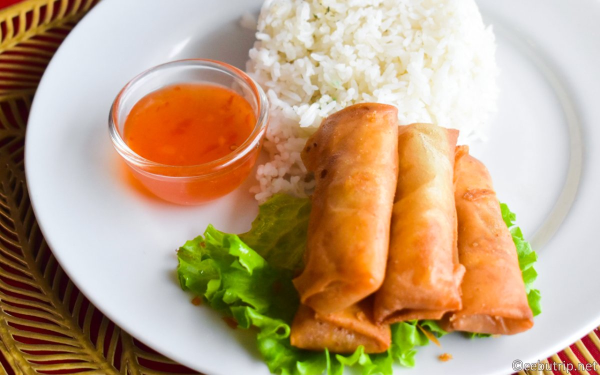 セブ島ペット可ホテル｜マクタン島の格安リゾート「パームビーチリゾート＆スパ」完全ガイド