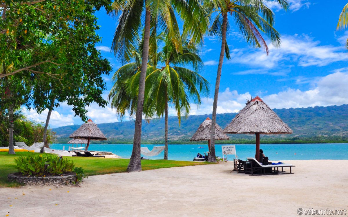 【セブ島ウェルネスリトリート】自然派の楽園「バディアン島」でオーガニック食材を堪能し心身を浄化