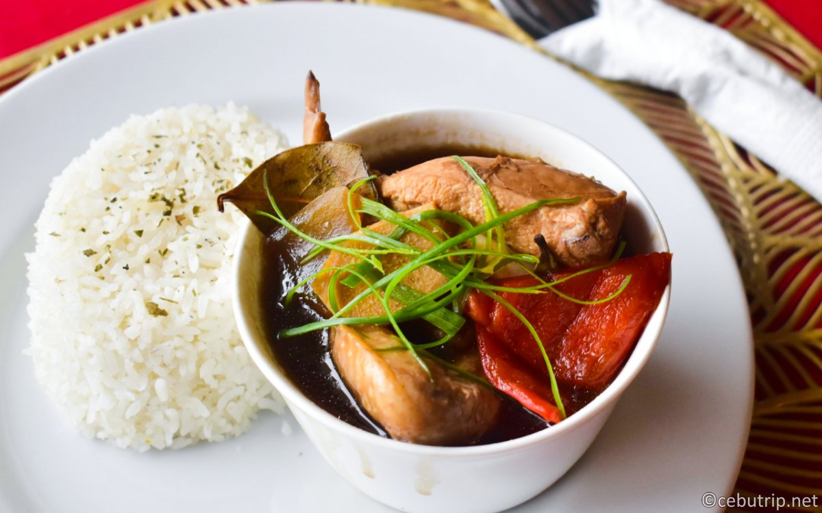 セブ島ペット可ホテル｜マクタン島の格安リゾート「パームビーチリゾート＆スパ」完全ガイド