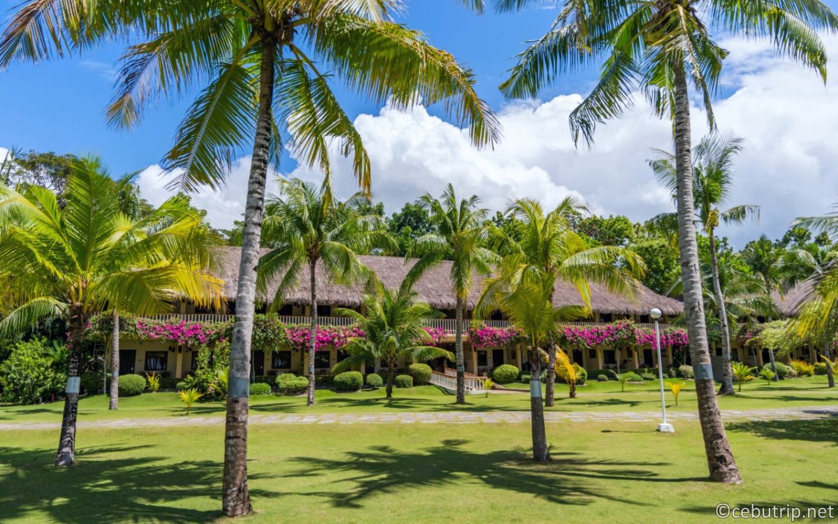 ボホール・ビーチクラブ｜ボホール・パングラオ島のリゾートホテルで極上の休日