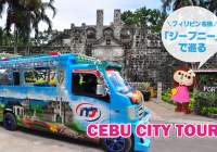 There is Remarkable vehicle in Cebu, and Its called JEEPNY.