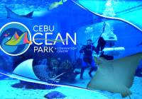 フィリピン最大級の水族館がセブにNEW OPEN!!Cebu Ocean Park