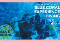 【人気ダイビングショップ】セブ・マクタン島で体験ダイビング！超初心者でもOK！