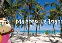 世界中のダイバーを魅了する「マラパスクア島の魅力」とは？