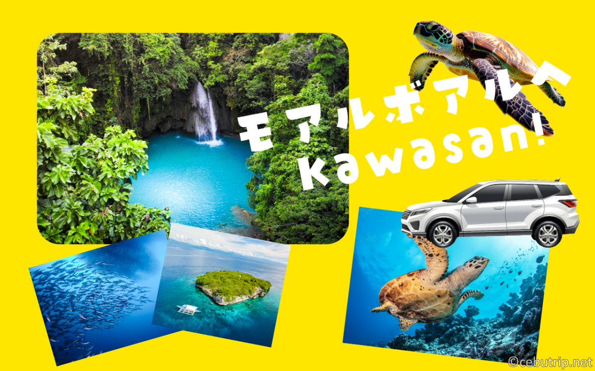 セブ島・ボホール島観光｜格安レンタカー（運転手付）と貸切チャーターならAmigo Travel