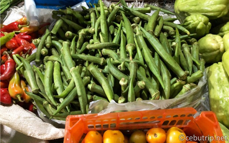 セブ島カルボンマーケットで超お得に新鮮野菜を手に入れよう！