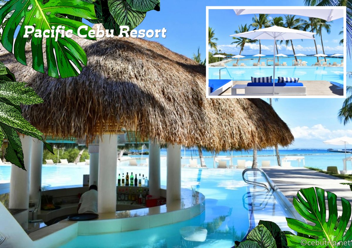 【2026年最新】セブ島ホテルデイユースおすすめ完全ガイド！日帰りリゾート贅沢プラン