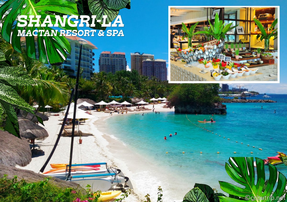 【2026年最新】セブ島ホテルデイユースおすすめ完全ガイド！日帰りリゾート贅沢プラン