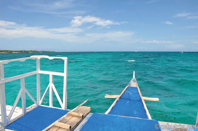 世界中のダイバーを魅了する「マラパスクア島の魅力」とは？