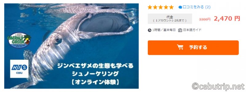 ジンベエザメの生態も学べる　シュノーケリング【オンライン体験】