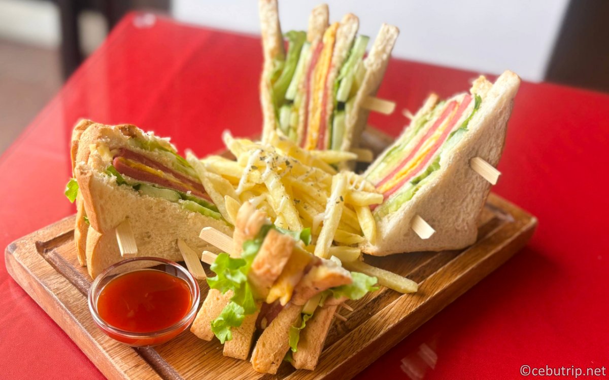 セブ島ペット可ホテル｜マクタン島の格安リゾート「パームビーチリゾート＆スパ」完全ガイド