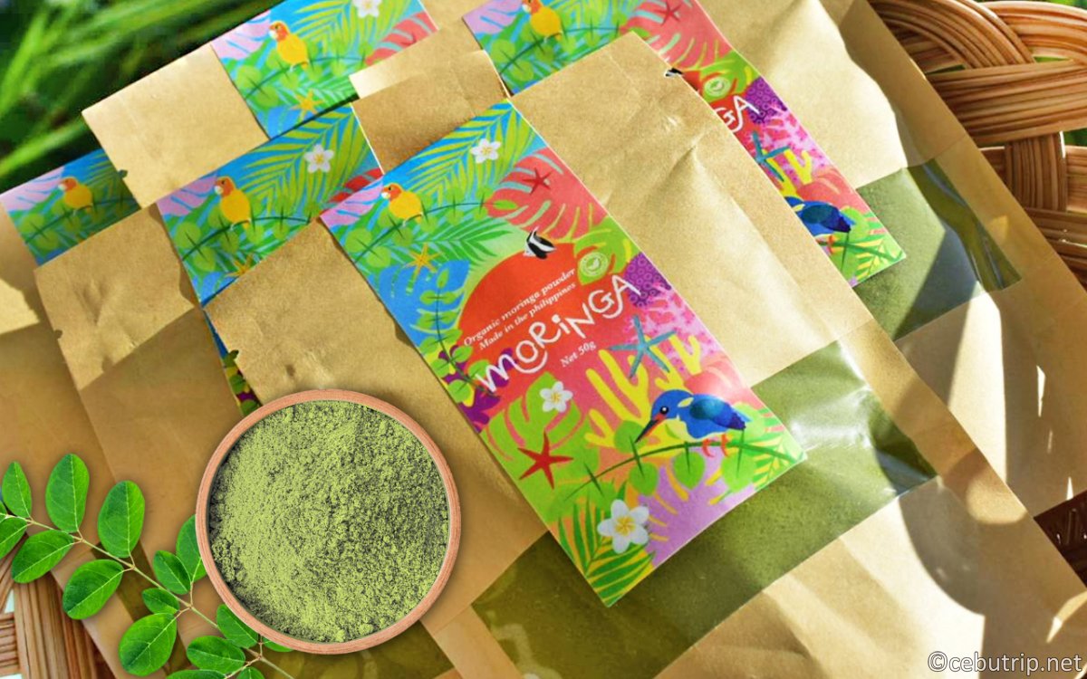 セブ島ウェルネス|アーシングと天然カカオ・幻の塩を巡るリトリート旅