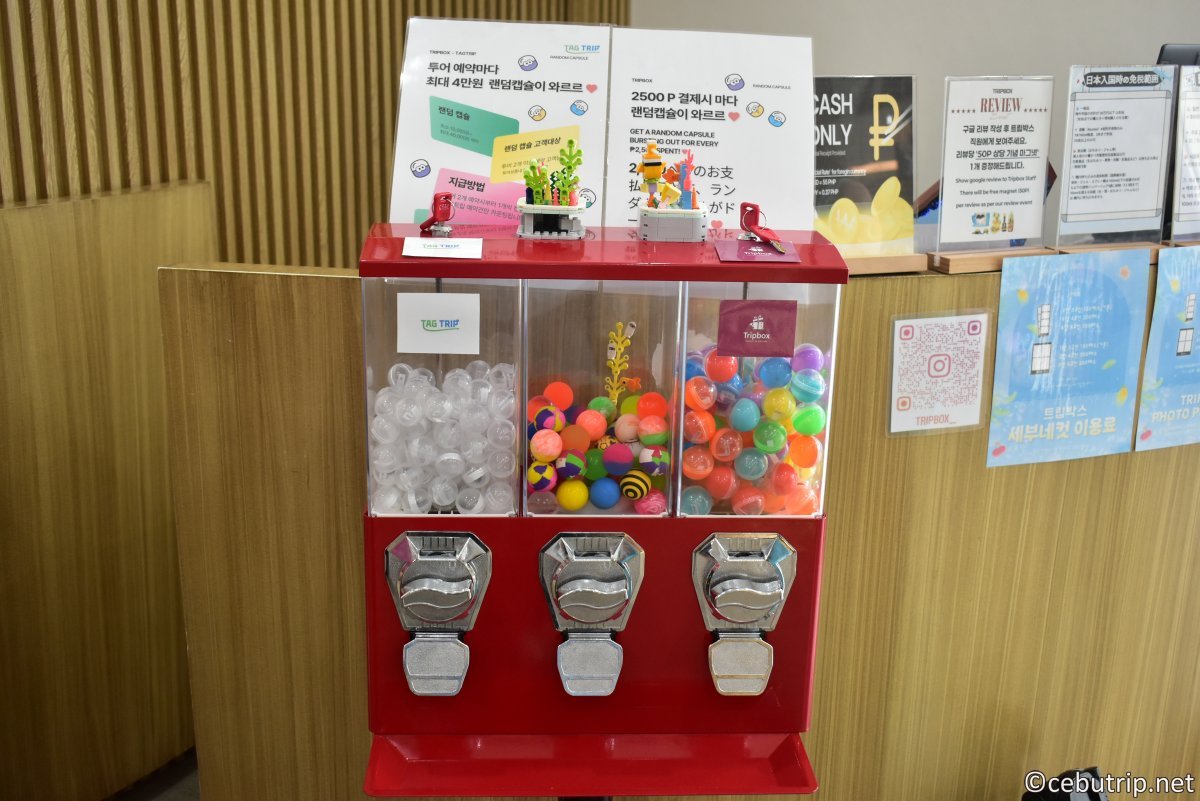 Explore TripBox Cebu – Where Souvenirs Meet Creativity!