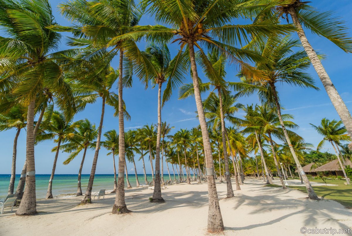 Why Bohol Beach Club Is Panglao’s Must-Stay Resort