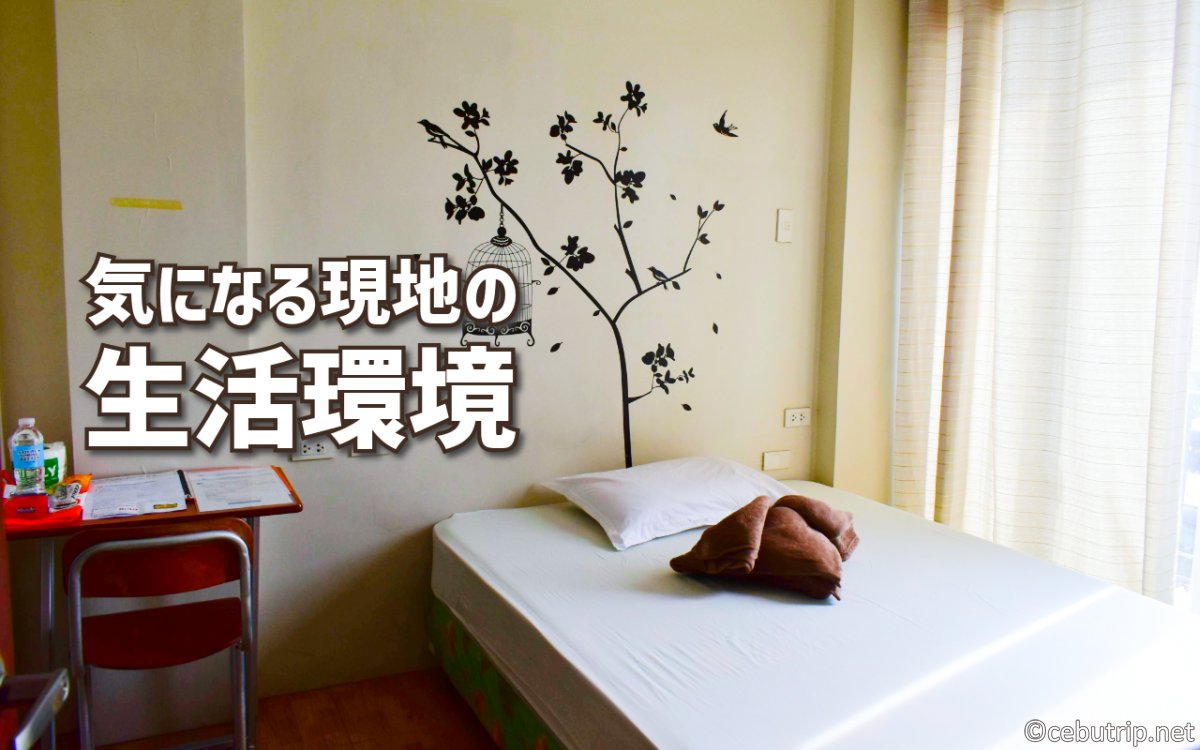 【2025年版】セブ島留学が今選ばれる理由とは?費用・食事・施設を徹底解説!