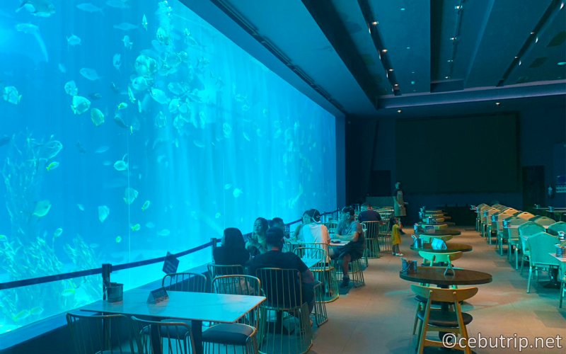 フィリピン最大級の水族館セブ オーシャンパーク（Cebu Ocean Park）
