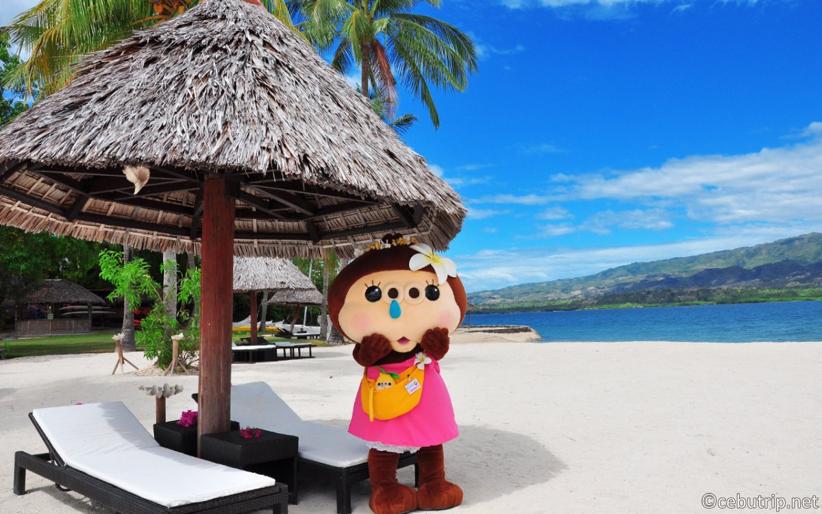 自然豊かな1島1リゾートの小さな島。癒しの楽園「バディアンアイランドウェルネスリゾート」