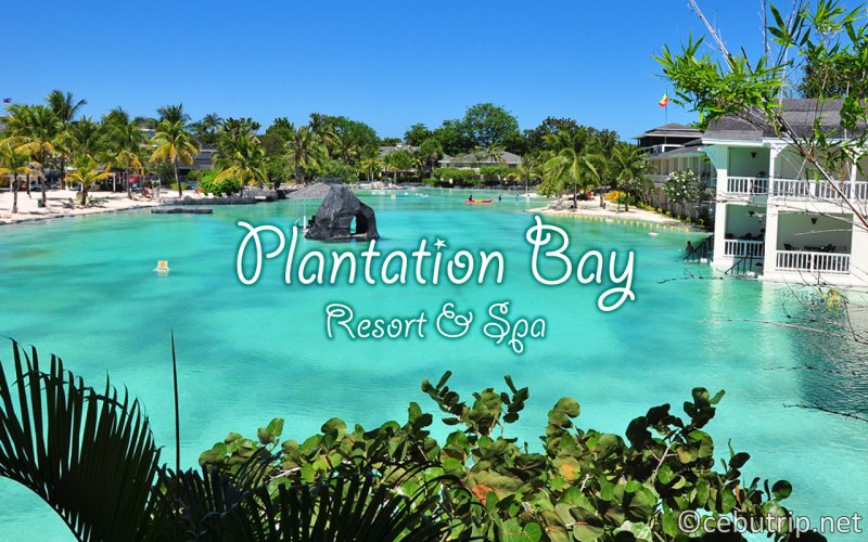 2022セブ島おすすめリゾート「ホテルデイユース」最新情報！Plantation Bay Resort & Spa