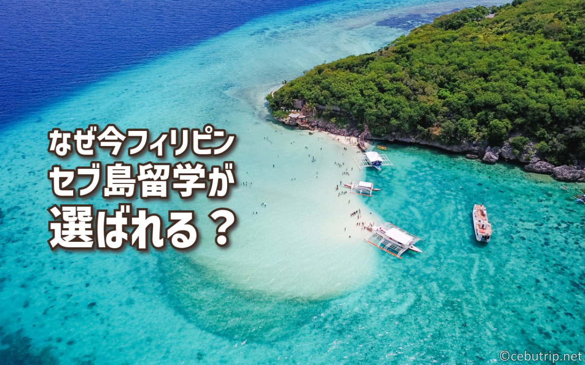 【2025年版】セブ島留学が今選ばれる理由とは?費用・食事・施設を徹底解説!