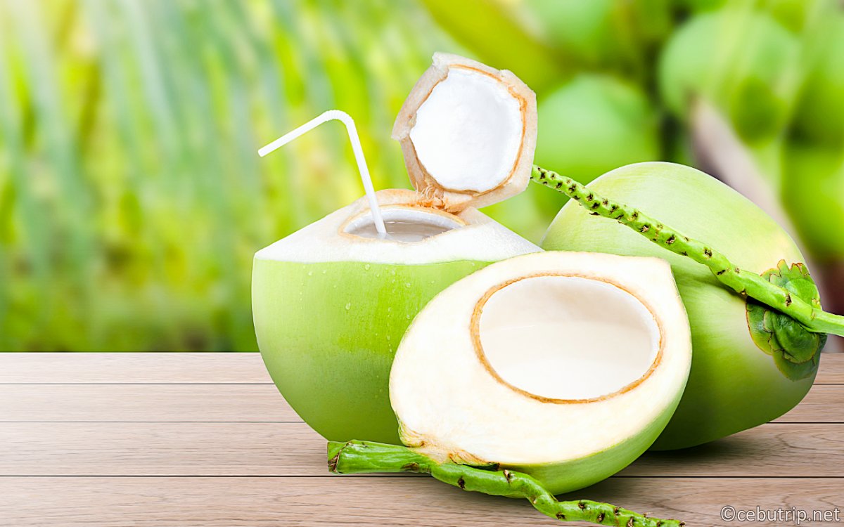 セブ島ウェルネス|アーシングと天然カカオ・幻の塩を巡るリトリート旅