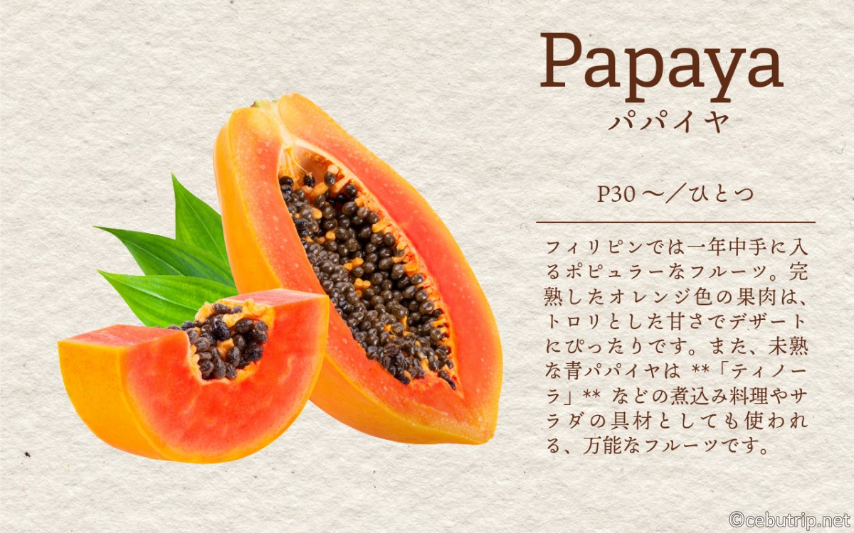 【セブ島デトックス】フィリピン伝統の自然治癒力！「ヒロット」から奇跡の万能薬まで徹底解説