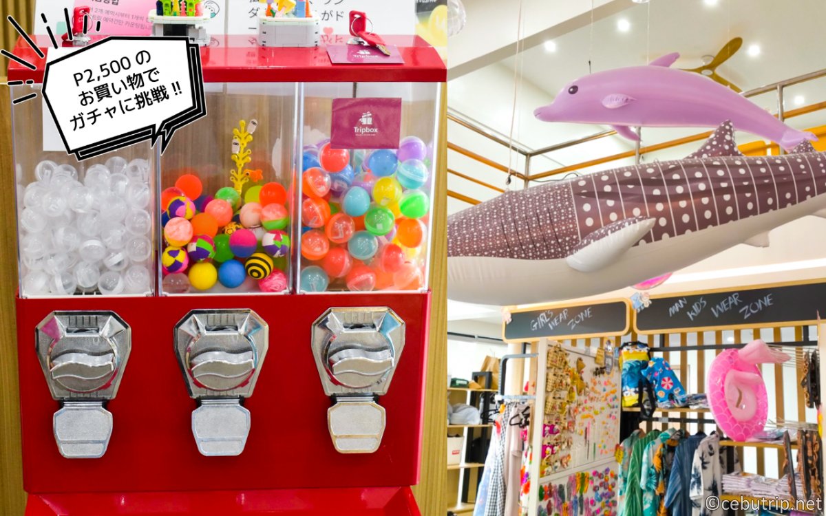 【セブ島】お土産はTripBox!マクタン島シャングリラから徒歩圏内