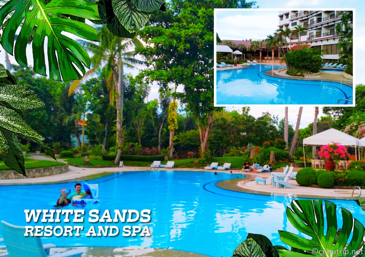 【2026年最新】セブ島ホテルデイユースおすすめ完全ガイド！日帰りリゾート贅沢プラン