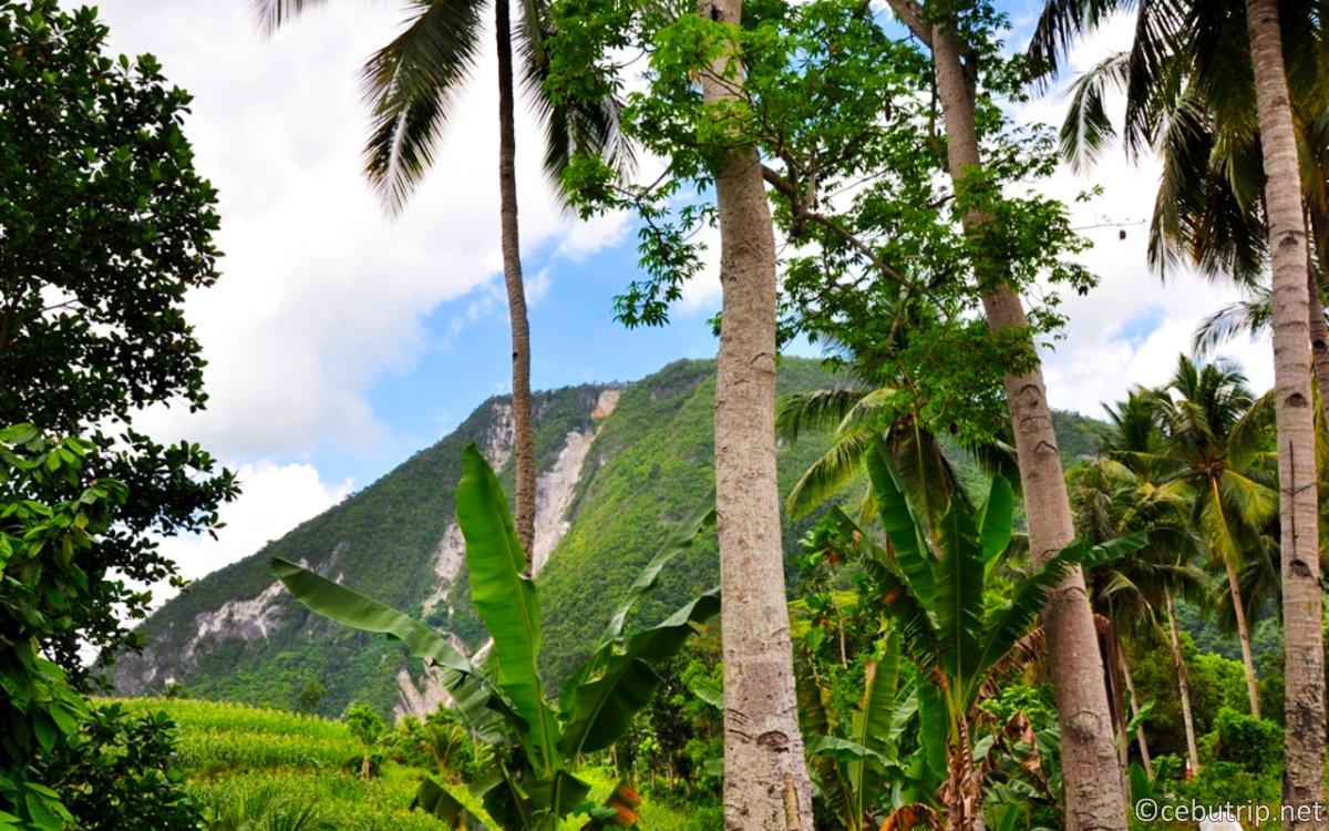セブ島のパワースポットアルガオ屈指の秘境「Agta Cave」と「Bugasok Falls」