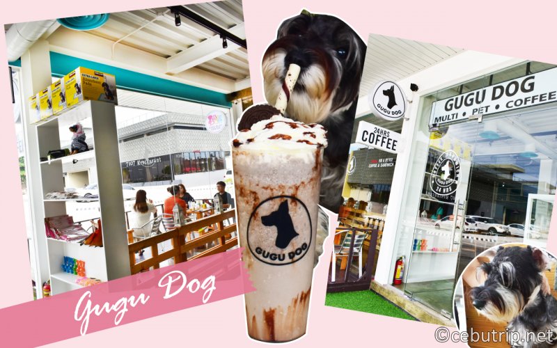 セブ・マクタン島にドッグカフェ「GUGU DOG」がオープン！