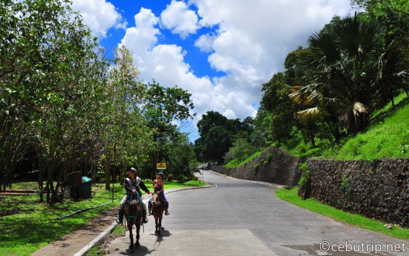 Run through the wilderness! Horseback riding experience in the mountains of Cebu!