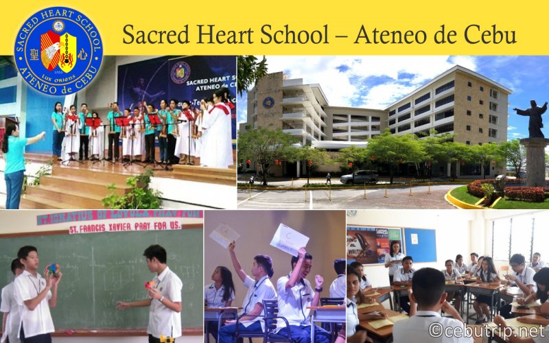 フィリピン・セブ島の現地学校情報（幼稚園・小学校・中学校・高校）2022最新版