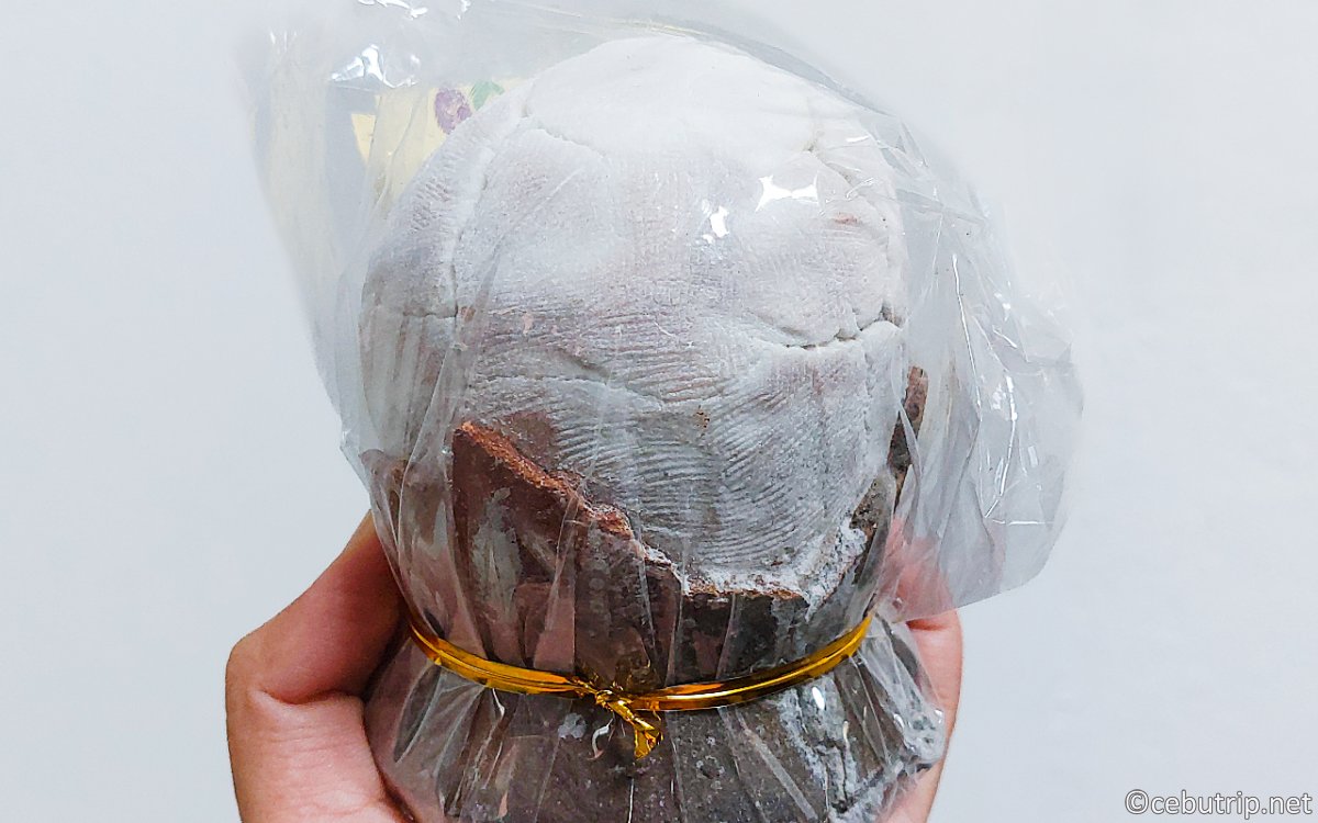 セブ島ウェルネス|アーシングと天然カカオ・幻の塩を巡るリトリート旅