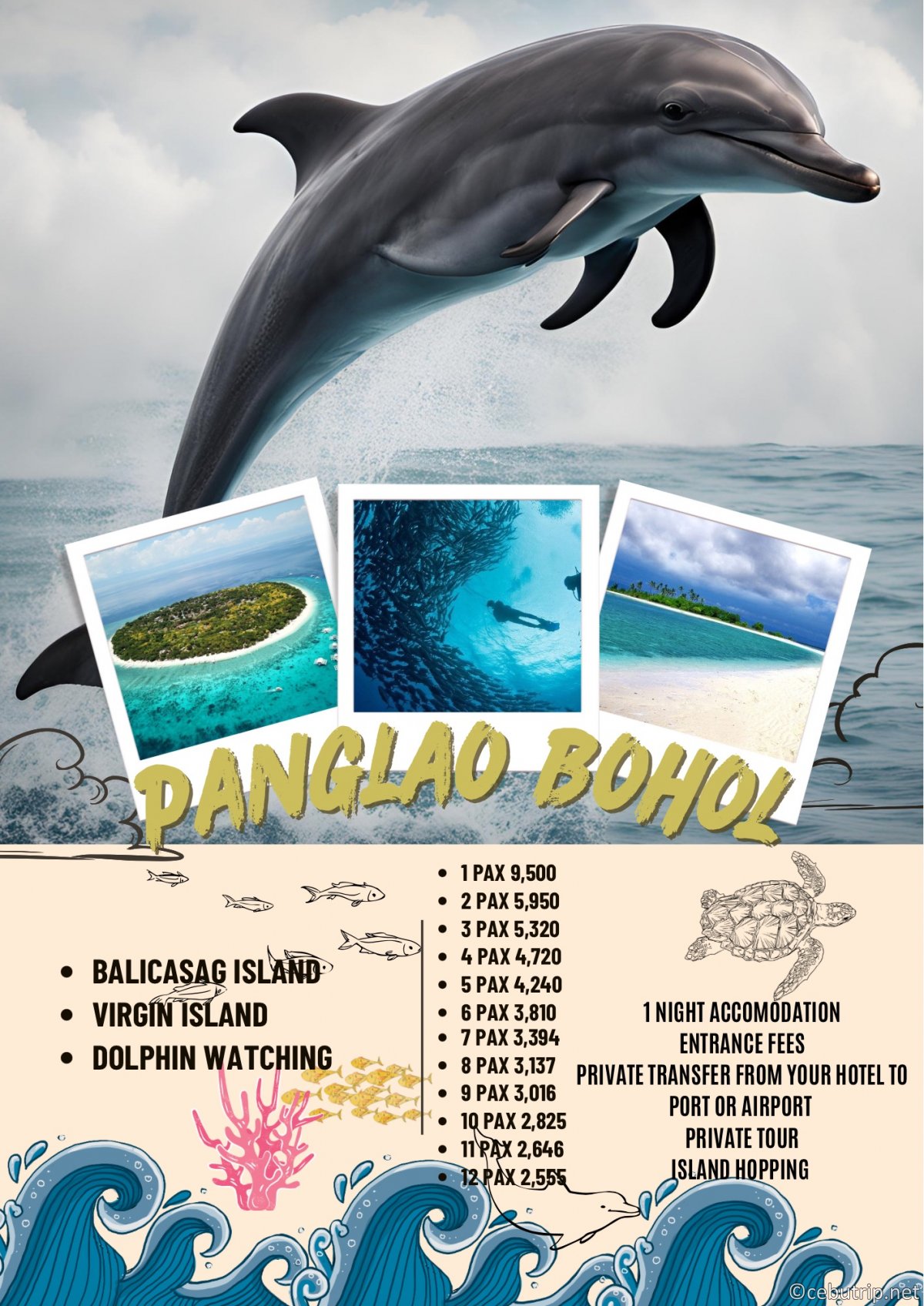 Cebu & Bohol Island Tours | Affordable Private Car Rentals – Amigo Travel