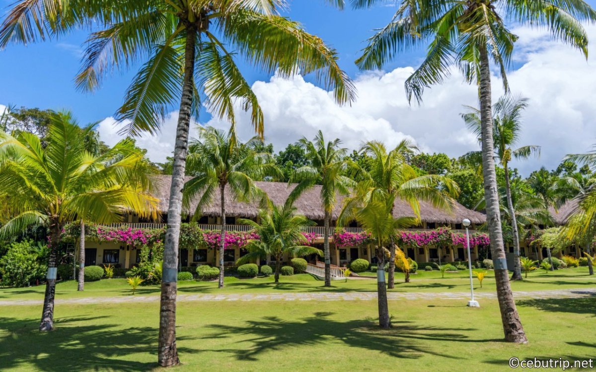 Why Bohol Beach Club Is Panglao’s Must-Stay Resort