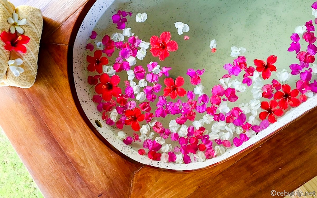 セブ島ウェルネス|アーシングと天然カカオ・幻の塩を巡るリトリート旅