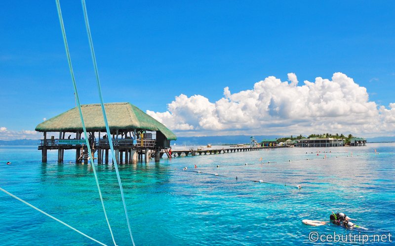 8 popular remote islands that can be reached on a day trip in Cebu.Narusuan Island