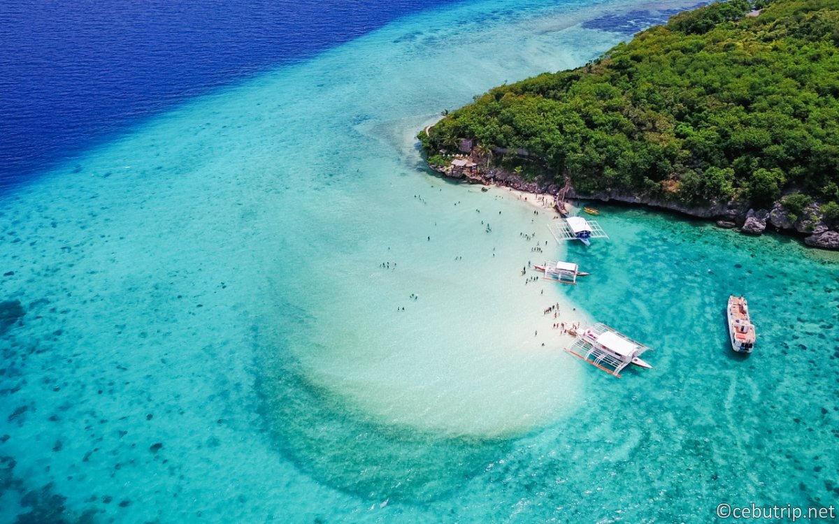 【セブ島旅行】早朝ジンベエザメ&楽園スミロン島!欲張りアクティビティ徹底ガイド