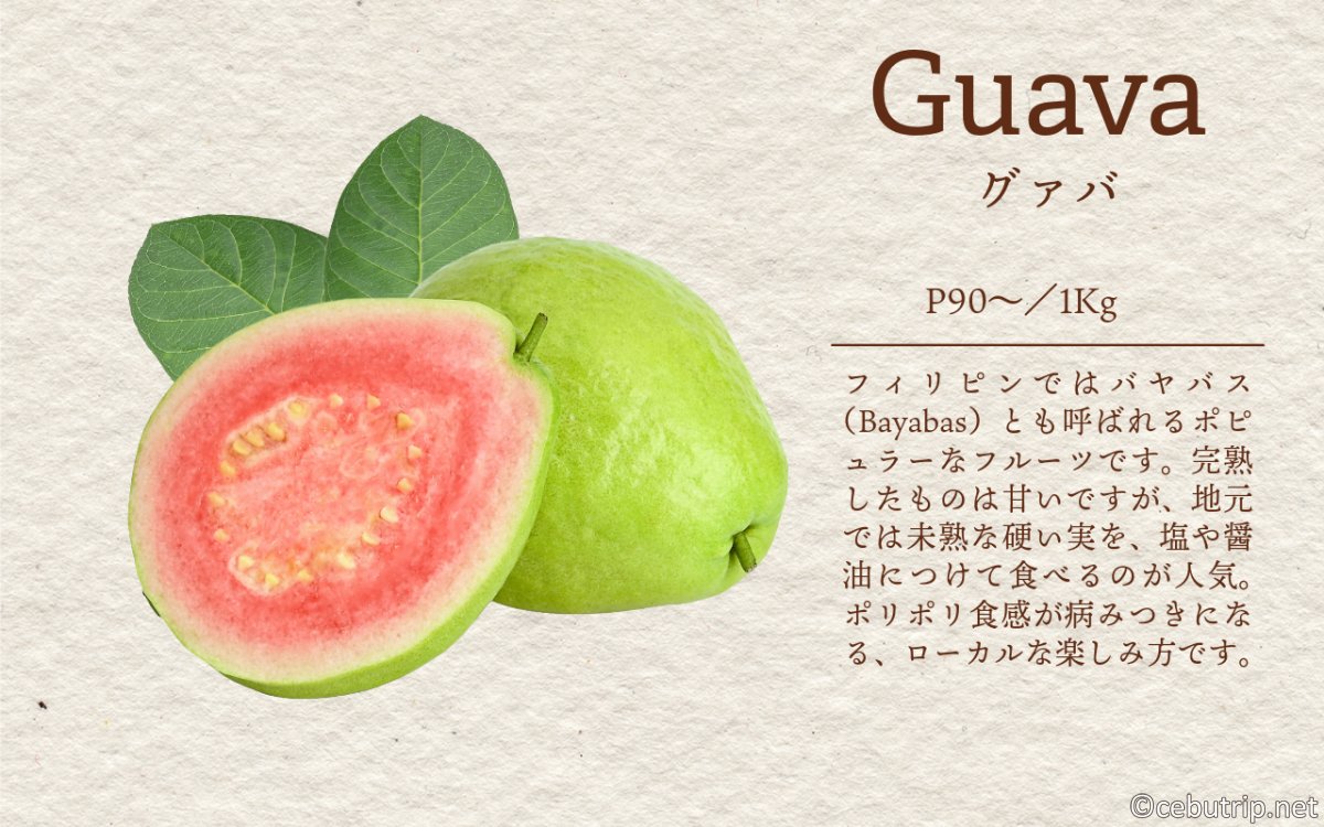 【セブ島デトックス】フィリピン伝統の自然治癒力！「ヒロット」から奇跡の万能薬まで徹底解説