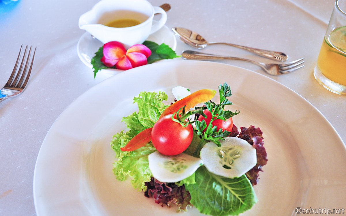 【セブ島ウェルネスリトリート】自然派の楽園「バディアン島」でオーガニック食材を堪能し心身を浄化