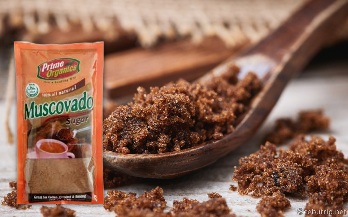 セブ島ウェルネス|アーシングと天然カカオ・幻の塩を巡るリトリート旅