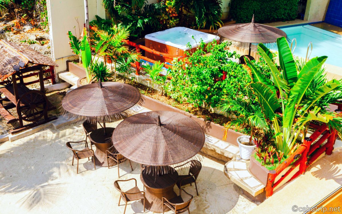 セブ島ペット可ホテル｜マクタン島の格安リゾート「パームビーチリゾート＆スパ」完全ガイド