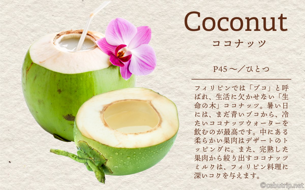 【セブ島デトックス】フィリピン伝統の自然治癒力！「ヒロット」から奇跡の万能薬まで徹底解説