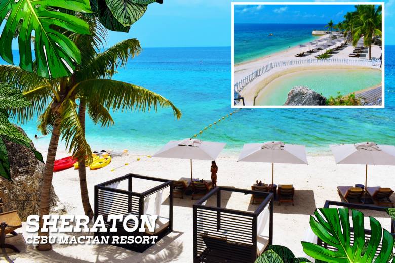  セブ島ホテルデイユース2026最新情報 #